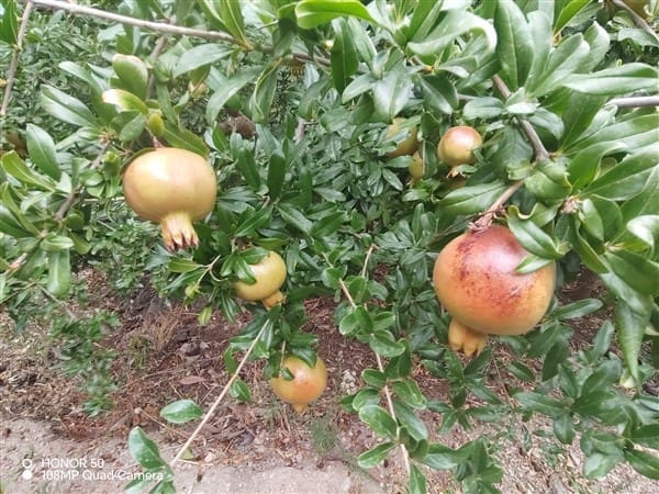 6 soveværelse Byhus til salg i Pinos del Valle med garage - € 119.000 (Ref: 9193081)