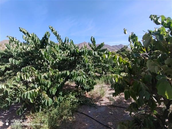 2 soverom Finca/Herregård til salgs i Molvizar med garasje - € 260 000 (Ref: 9202043)