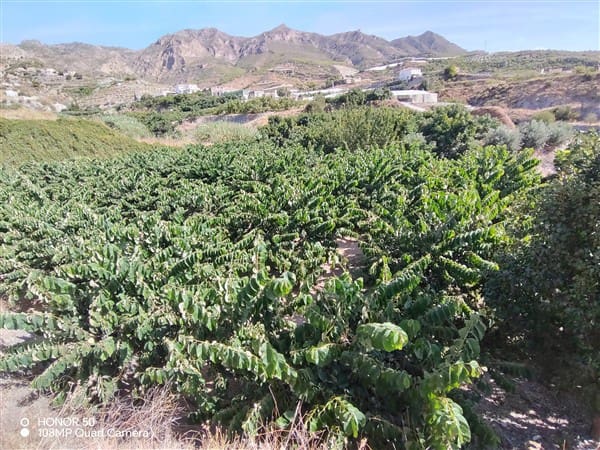 2 soverom Finca/Herregård til salgs i Molvizar med garasje - € 260 000 (Ref: 9202043)