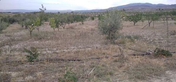 4 soveværelse Finca/Landehus til salg i Baza med swimmingpool garage - € 87.500 (Ref: 9255799)