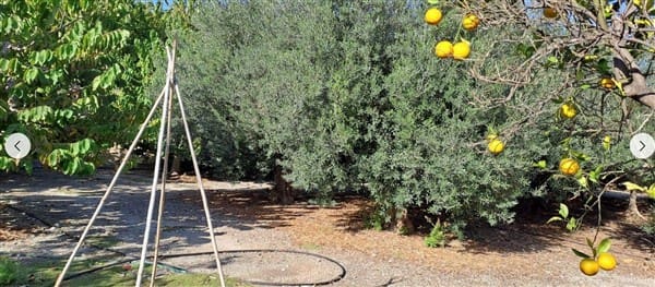 1 soveværelse Finca/Landehus til salg i Motril med garage - € 268.000 (Ref: 9265578)