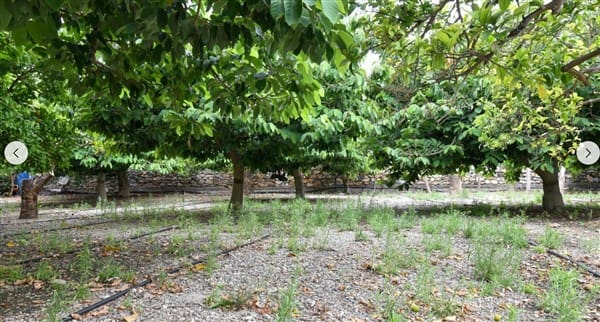 1 soveværelse Finca/Landehus til salg i Motril med garage - € 268.000 (Ref: 9265578)