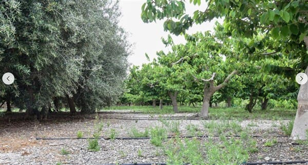 1 soveværelse Finca/Landehus til salg i Motril med garage - € 268.000 (Ref: 9265578)