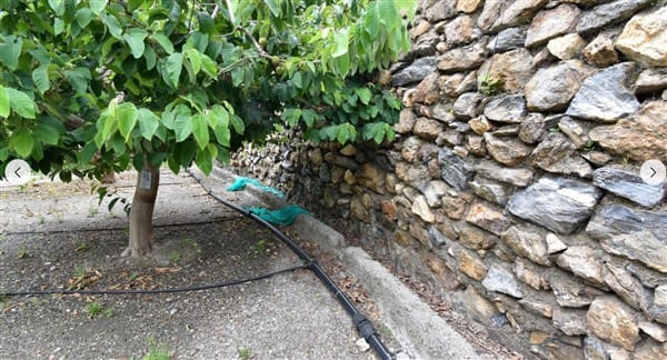 1 sovrum Finca/Hus på landet till salu i Motril med garage - 268 000 € (Ref: 9265578)