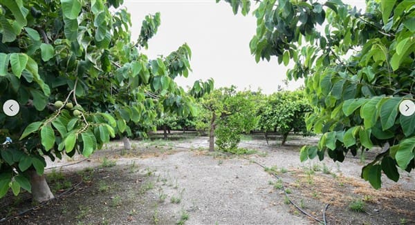 1 soveværelse Finca/Landehus til salg i Motril med garage - € 268.000 (Ref: 9265578)