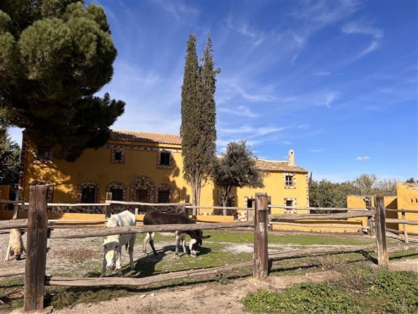 8 sypialnia Finka/Dom wiejski na sprzedaż w Baza z basenem garażem - 295 000 € (Ref: 9449718)