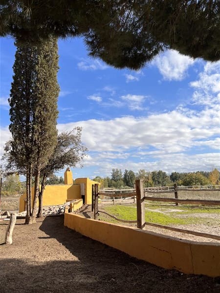 8 sypialnia Finka/Dom wiejski na sprzedaż w Baza z basenem garażem - 295 000 € (Ref: 9449718)