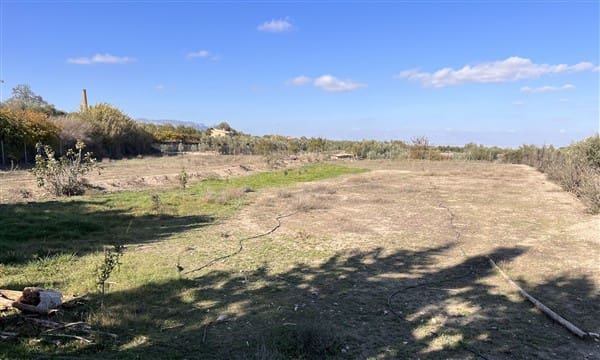 8 sypialnia Finka/Dom wiejski na sprzedaż w Baza z basenem garażem - 295 000 € (Ref: 9449718)