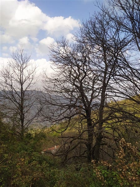 3 sypialnia Finka/Dom wiejski na sprzedaż w Los Guajares z garażem - 87 600 € (Ref: 9469818)