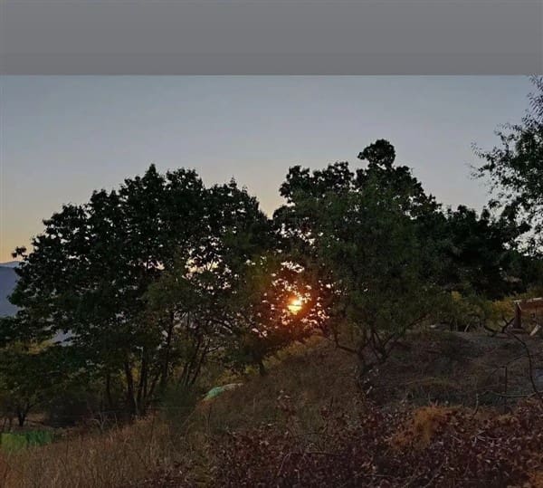 3 sypialnia Finka/Dom wiejski na sprzedaż w Los Guajares z garażem - 87 600 € (Ref: 9469818)