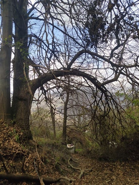 3 sypialnia Finka/Dom wiejski na sprzedaż w Los Guajares z garażem - 87 600 € (Ref: 9469818)