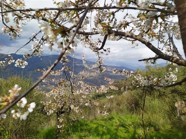 3 sypialnia Finka/Dom wiejski na sprzedaż w Los Guajares z garażem - 87 600 € (Ref: 9469818)