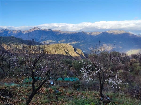 3 sypialnia Finka/Dom wiejski na sprzedaż w Los Guajares z garażem - 87 600 € (Ref: 9469818)