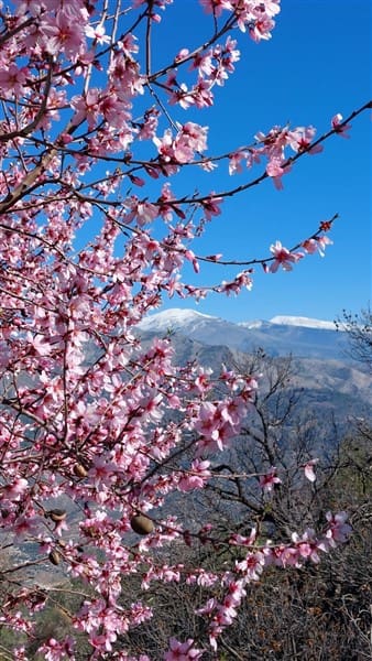 3 sypialnia Finka/Dom wiejski na sprzedaż w Los Guajares z garażem - 87 600 € (Ref: 9469818)