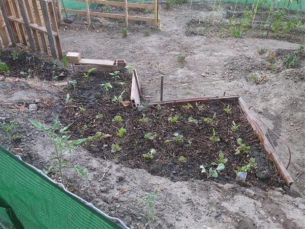 3 sypialnia Finka/Dom wiejski na sprzedaż w Los Guajares z garażem - 87 600 € (Ref: 9469818)