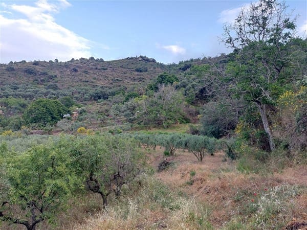 3 sypialnia Finka/Dom wiejski na sprzedaż w Los Guajares z garażem - 87 600 € (Ref: 9469818)