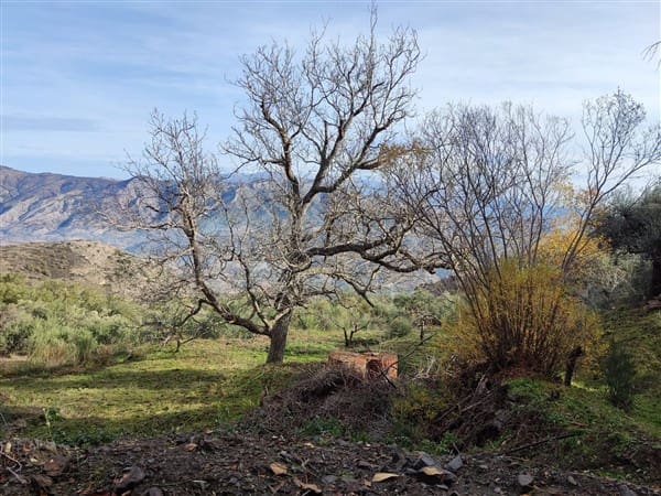 3 sypialnia Finka/Dom wiejski na sprzedaż w Los Guajares z garażem - 87 600 € (Ref: 9469818)