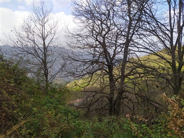 3 sypialnia Finka/Dom wiejski na sprzedaż w Los Guajares z garażem - 87 600 € (Ref: 9469818)