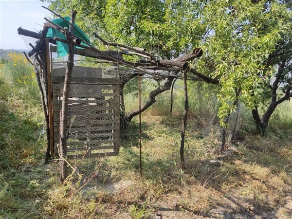 3 sypialnia Finka/Dom wiejski na sprzedaż w Los Guajares z garażem - 87 600 € (Ref: 9469818)