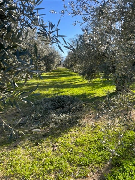 Finca/Casa Rural de 1 habitación en Benalúa de Guadix en venta con garaje - 70.500 € (Ref: 9483218)