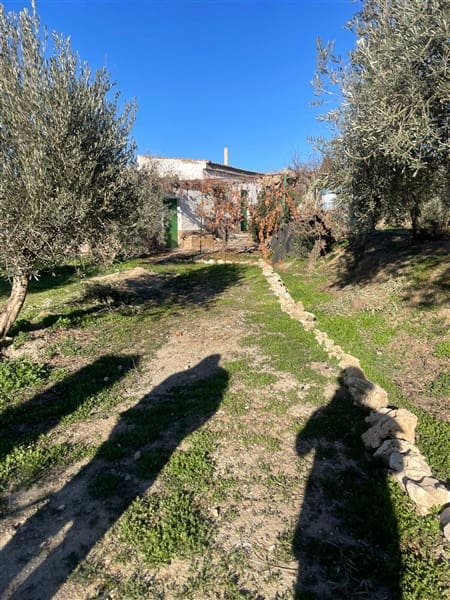 Finca/Casa Rural de 1 habitación en Benalúa de Guadix en venta con garaje - 70.500 € (Ref: 9483218)