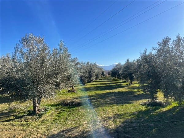 Finca/Casa Rural de 1 habitación en Benalúa de Guadix en venta con garaje - 70.500 € (Ref: 9483218)