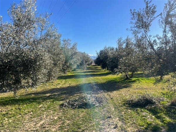Finca/Casa Rural de 1 habitación en Benalúa de Guadix en venta con garaje - 70.500 € (Ref: 9483218)
