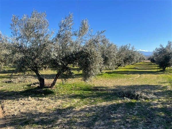 Finca/Casa Rural de 1 habitación en Benalúa de Guadix en venta con garaje - 70.500 € (Ref: 9483218)