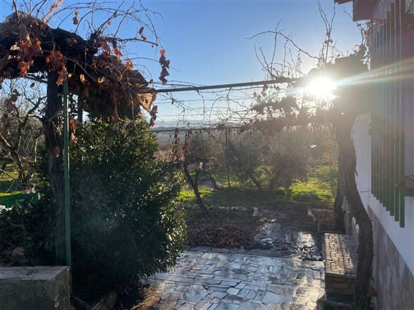 Finca/Casa Rural de 1 habitación en Benalúa de Guadix en venta con garaje - 70.500 € (Ref: 9483218)