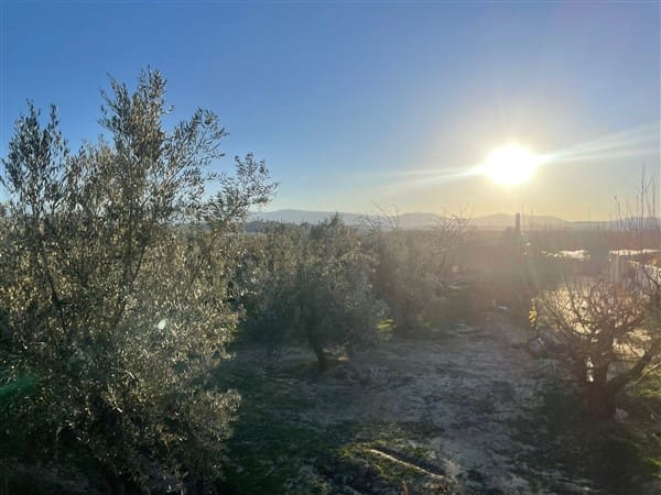 Finca/Casa Rural de 1 habitación en Benalúa de Guadix en venta con garaje - 70.500 € (Ref: 9483218)