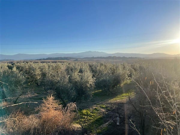 Finca/Casa Rural de 1 habitación en Benalúa de Guadix en venta con garaje - 70.500 € (Ref: 9483218)