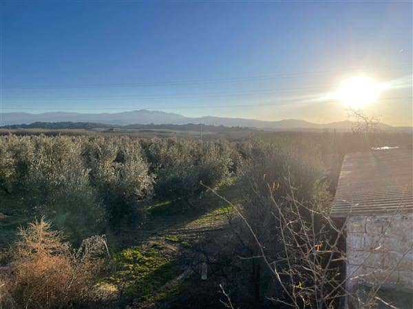 Finca/Casa Rural de 1 habitación en Benalúa de Guadix en venta con garaje - 70.500 € (Ref: 9483218)