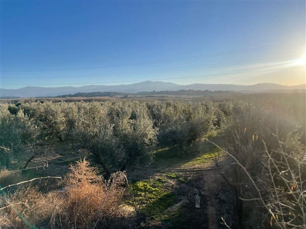 Finca/Casa Rural de 1 habitación en Benalúa de Guadix en venta con garaje - 70.500 € (Ref: 9483218)