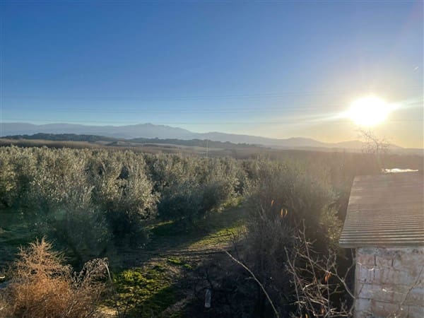 Finca/Casa Rural de 1 habitación en Benalúa de Guadix en venta con garaje - 70.500 € (Ref: 9483218)