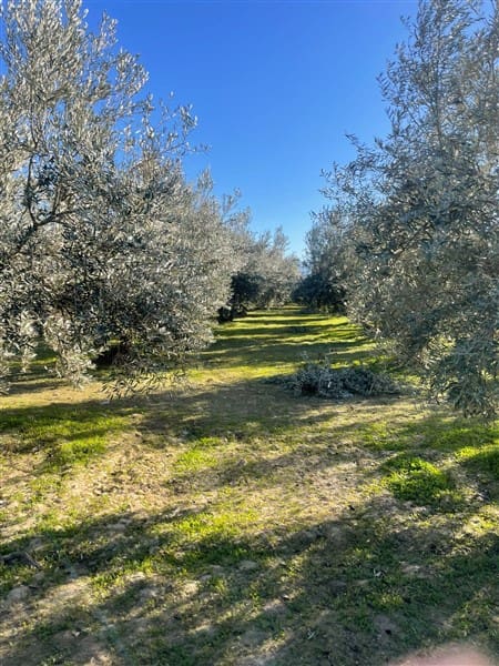Finca/Casa Rural de 1 habitación en Benalúa de Guadix en venta con garaje - 70.500 € (Ref: 9483218)