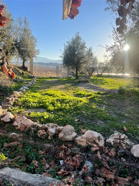 Finca/Casa Rural de 1 habitación en Benalúa de Guadix en venta con garaje - 70.500 € (Ref: 9483218)