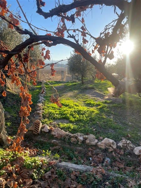 Finca/Casa Rural de 1 habitación en Benalúa de Guadix en venta con garaje - 70.500 € (Ref: 9483218)