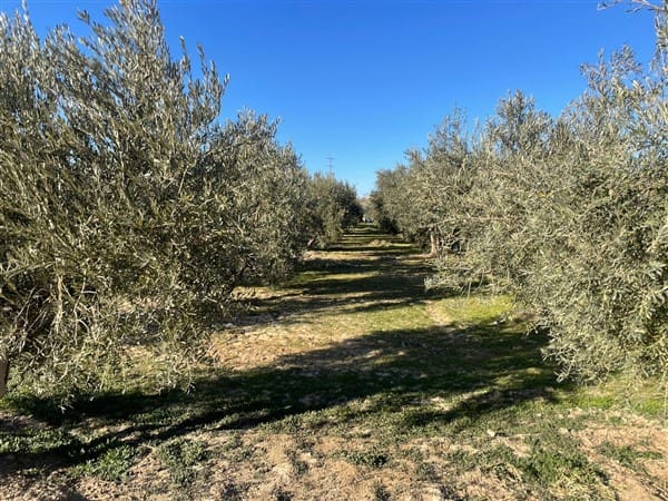 Finca/Casa Rural de 1 habitación en Benalúa de Guadix en venta con garaje - 70.500 € (Ref: 9483218)