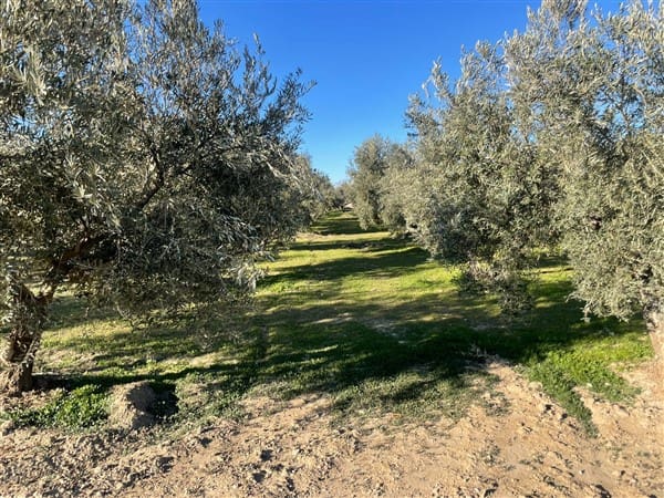 Finca/Casa Rural de 1 habitación en Benalúa de Guadix en venta con garaje - 70.500 € (Ref: 9483218)