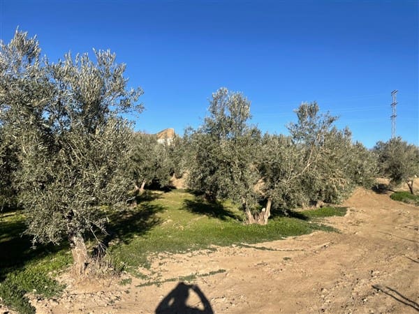 Finca/Casa Rural de 1 habitación en Benalúa de Guadix en venta con garaje - 70.500 € (Ref: 9483218)