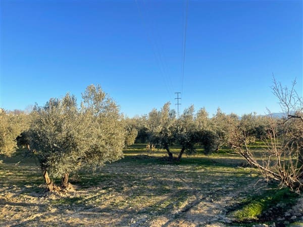 Finca/Casa Rural de 1 habitación en Benalúa de Guadix en venta con garaje - 70.500 € (Ref: 9483218)