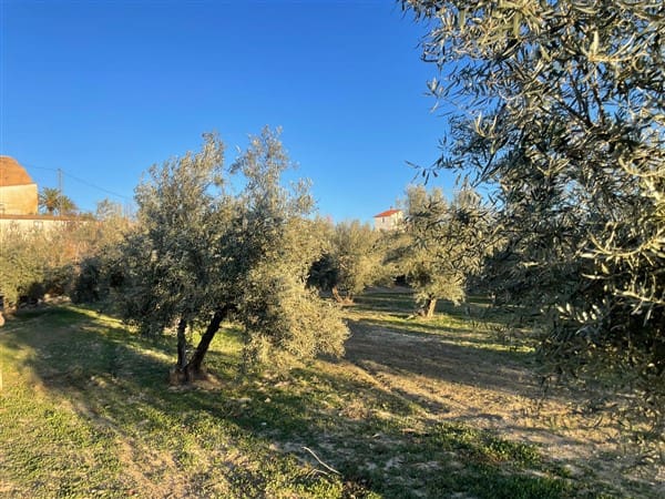 Finca/Casa Rural de 1 habitación en Benalúa de Guadix en venta con garaje - 70.500 € (Ref: 9483218)