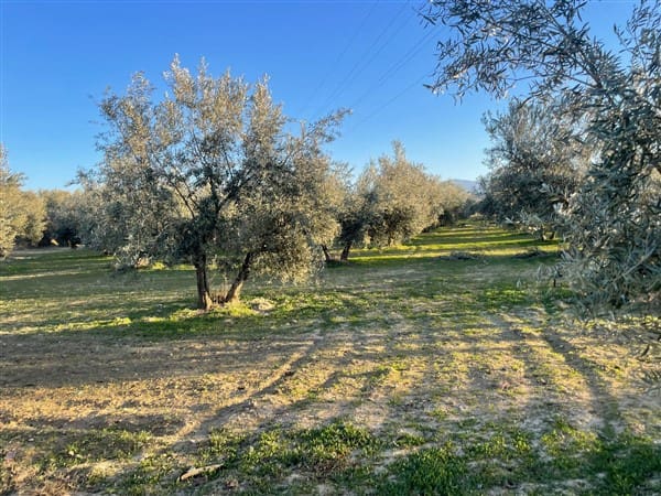 Finca/Casa Rural de 1 habitación en Benalúa de Guadix en venta con garaje - 70.500 € (Ref: 9483218)