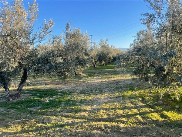 Finca/Casa Rural de 1 habitación en Benalúa de Guadix en venta con garaje - 70.500 € (Ref: 9483218)