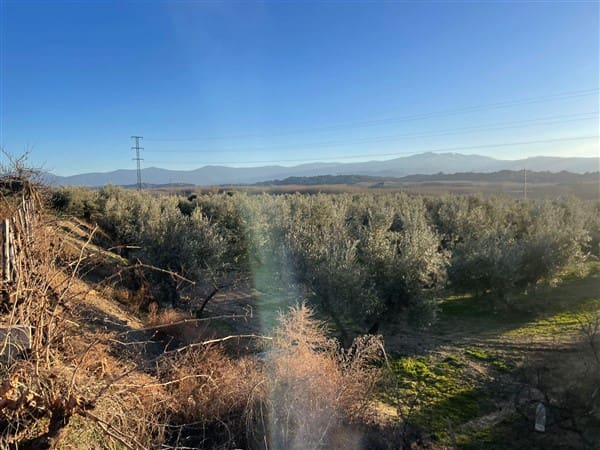 Finca/Casa Rural de 1 habitación en Benalúa de Guadix en venta con garaje - 70.500 € (Ref: 9483218)