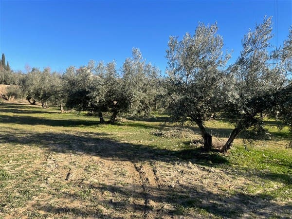 1 camera da letto Finca/Casa di Campagna in vendita in Benalúa de Guadix con garage - 70.500 € (Rif: 9483218)