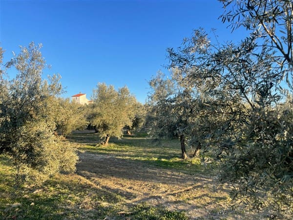 Finca/Casa Rural de 1 habitación en Benalúa de Guadix en venta con garaje - 70.500 € (Ref: 9483218)