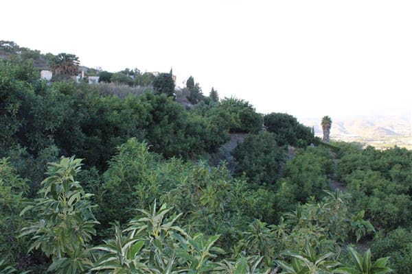 7 bedroom Finca/Country House for sale in Motril with pool garage - € 620,000 (Ref: 9511291)