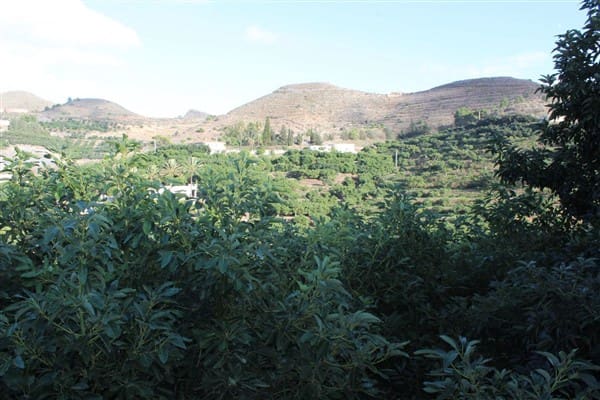 7 bedroom Finca/Country House for sale in Motril with pool garage - € 620,000 (Ref: 9511291)