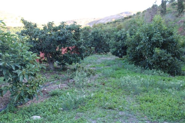 7 bedroom Finca/Country House for sale in Motril with pool garage - € 620,000 (Ref: 9511291)